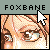 Fox's Photo