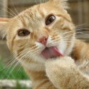 Abrar's Photo