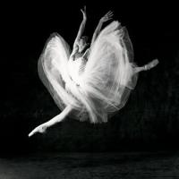 Tia's Photo