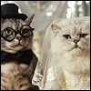 Lifeisgood's Photo