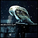 GATX's Photo