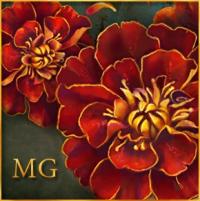 Marigold's Photo