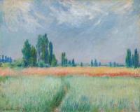 thaythay's Photo