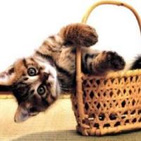 Unati's Photo
