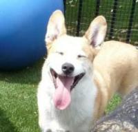 Kenai's Photo
