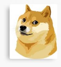 DogeWow's Photo