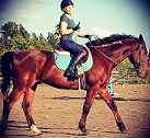 equinista's Photo
