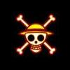 Luffy's Photo