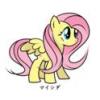 chini's Photo