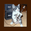 Obit's Photo
