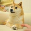 No Flying - last post by BonjourBagel