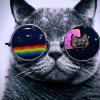 NeoCatdex - last post by yeahneocodex