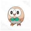 Rowlet's Photo