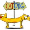 catdog's Photo